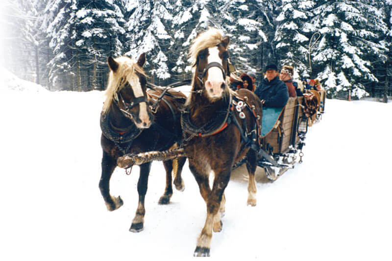 Winterlicher Schwartenberg mit Pferdeschlittenfahrt